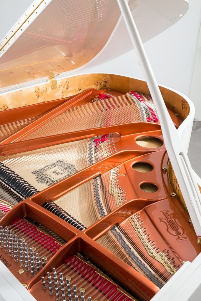 Feurich 179 - Dynamic Grand Piano